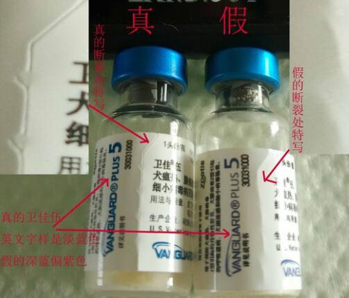 如何辨別輝瑞衛佳疫苗真假？(圖3)