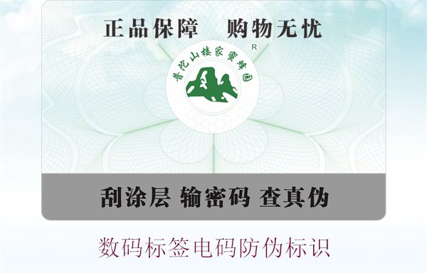 數碼標簽電碼防偽標識(圖1)